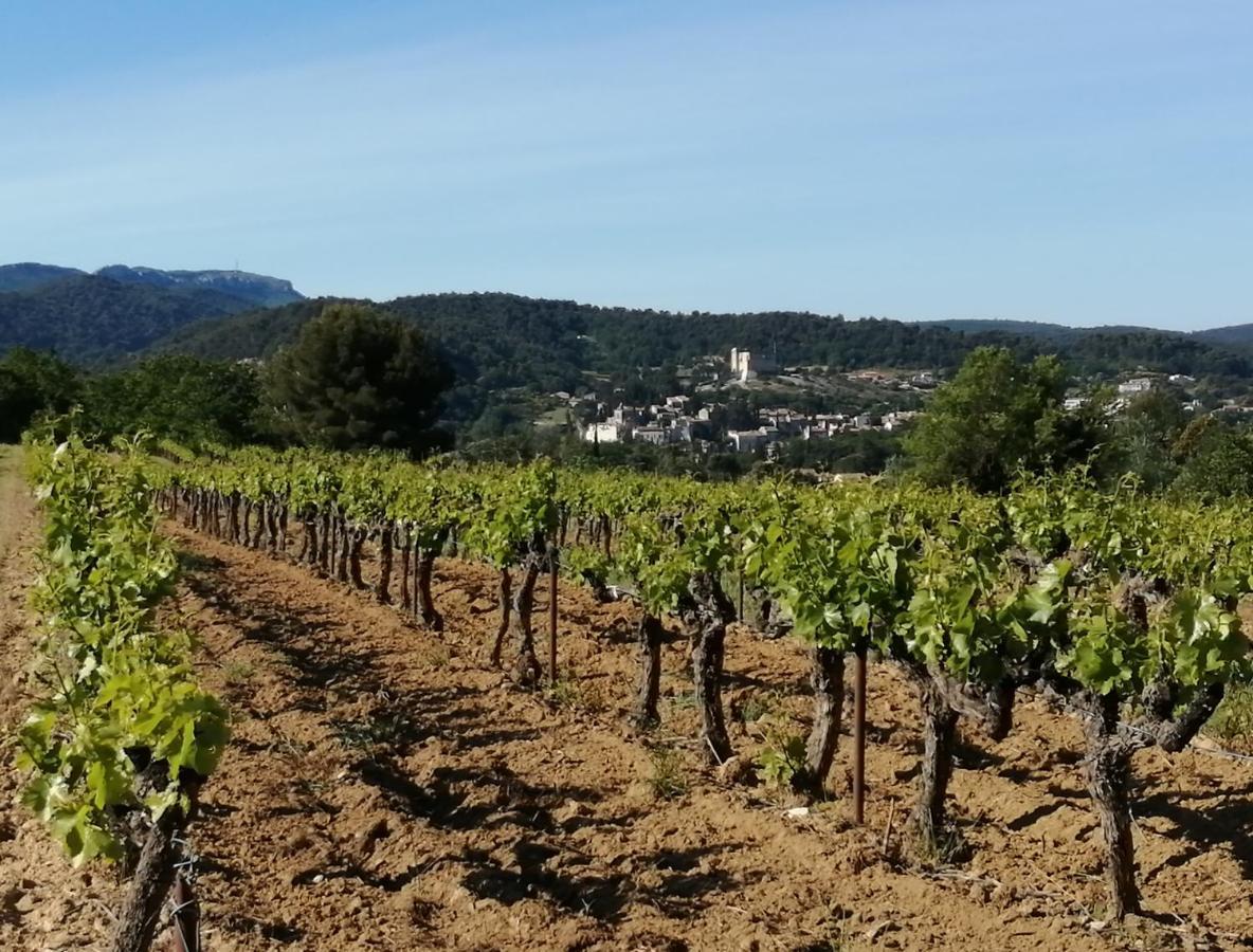 Au Villadior - Vaison La Romaine 외부 사진